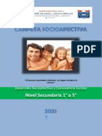 Carpeta Socioafectiva - Secundaria