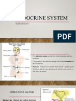 Endocrine System Grade X
