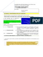 Anatomia Fisiológica: Actividad 2: Sinapomorfias de Los Cordados