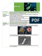 Bacterias 3 PDF