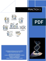 Practica 1 Bioinformatica