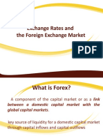 Lecture 10-Foreign Exchange Market