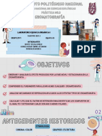 SEMINARIO Cromatografía PDF