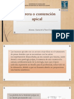 Barrera o Contención Apical PDF