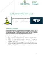 Guía Actividad FOro Ácidos y Bases.pdf