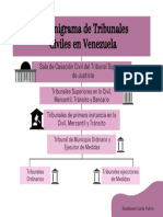 Organigrama de Tribunales Civiles PDF
