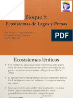 Bloque 5 Lagos y Presas PDF
