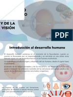 Desarrollo Embrionario y Fetal Del Globo Ocular