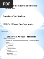 Nucleus - Structure and Function