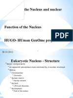 Nucleus - Structure and Function