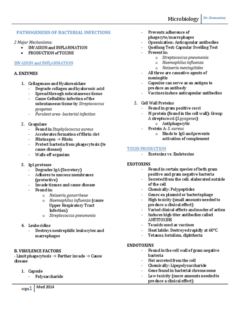 Bacterial Infection Pathogenesis Explained | PDF | Lipopolysaccharide ...