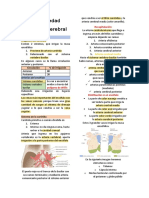 Enfermedad Vascular Cerebral