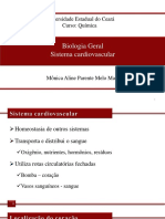 Sistema cardiovascular e suas funções principais