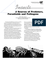 Commercial Sources of Predators, Parasitoids and Pathogens Extremlym