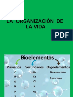 Las Organización de La Vida Diver 3º Eso