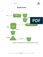 BALANCE DE MASA