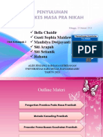 Penyuluhan Promkes Masa Pranikah - Kel. 2