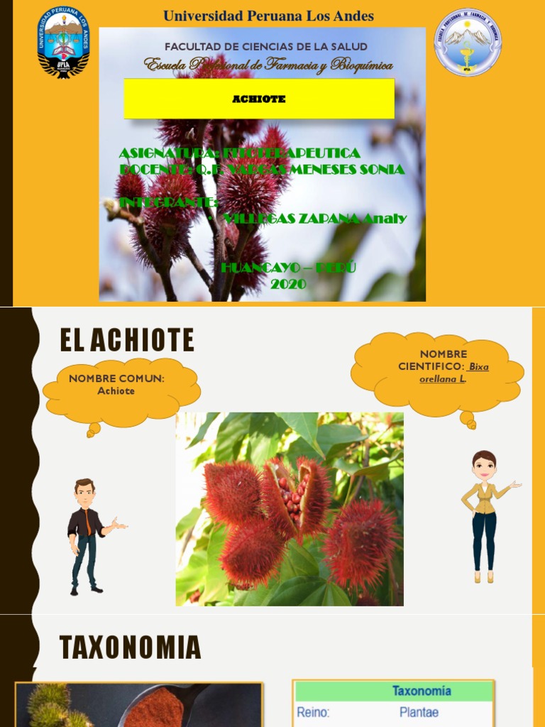 El Achiote | PDF