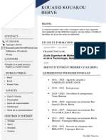CV Herve PDF