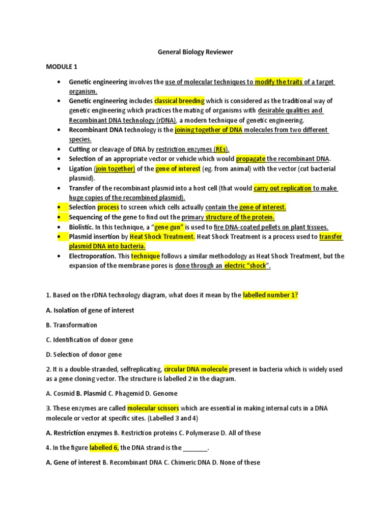 Genetic Engineering and Speciation Overview | PDF | Plasmid | Molecular ...