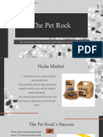 Pet Rock Presentation