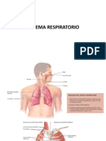 Sistema respiratorio y EPOC