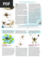 Common Spiders of Alberta | PDF | Spider | Arthropods