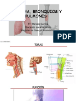 Pulmones y Cavidad Pleural PDF