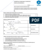 Examen Parcial de Bioquimica