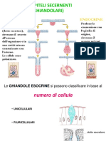 Ghiandole Esocrine PDF