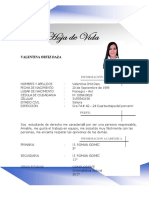 Perfil profesional y experiencia laboral de Valentina Ortiz