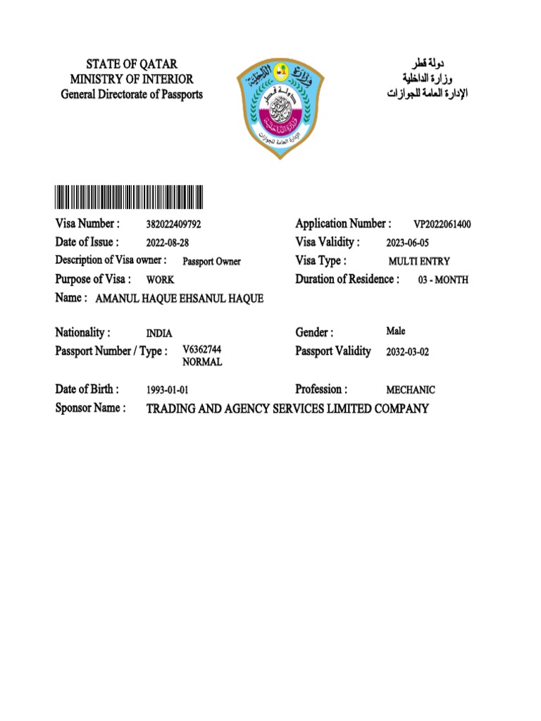 Visa | PDF