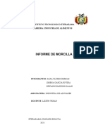 Informe Morcilla