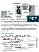 COURS INFORMATION GENETIQUE - Suite