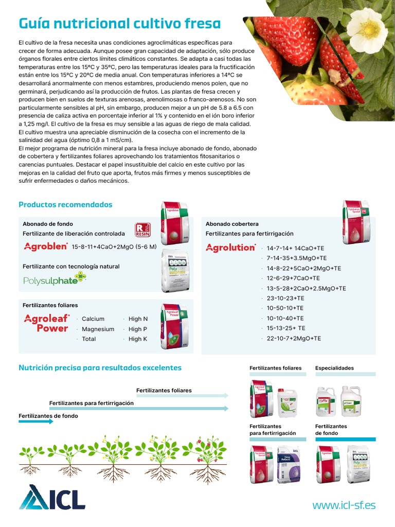 guia-nutricional-cultivo-fresa-2022-pdf-fertilizante-nutrientes