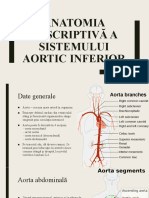 Anatomia Descriptivă A Sistemului Aortic Inferior