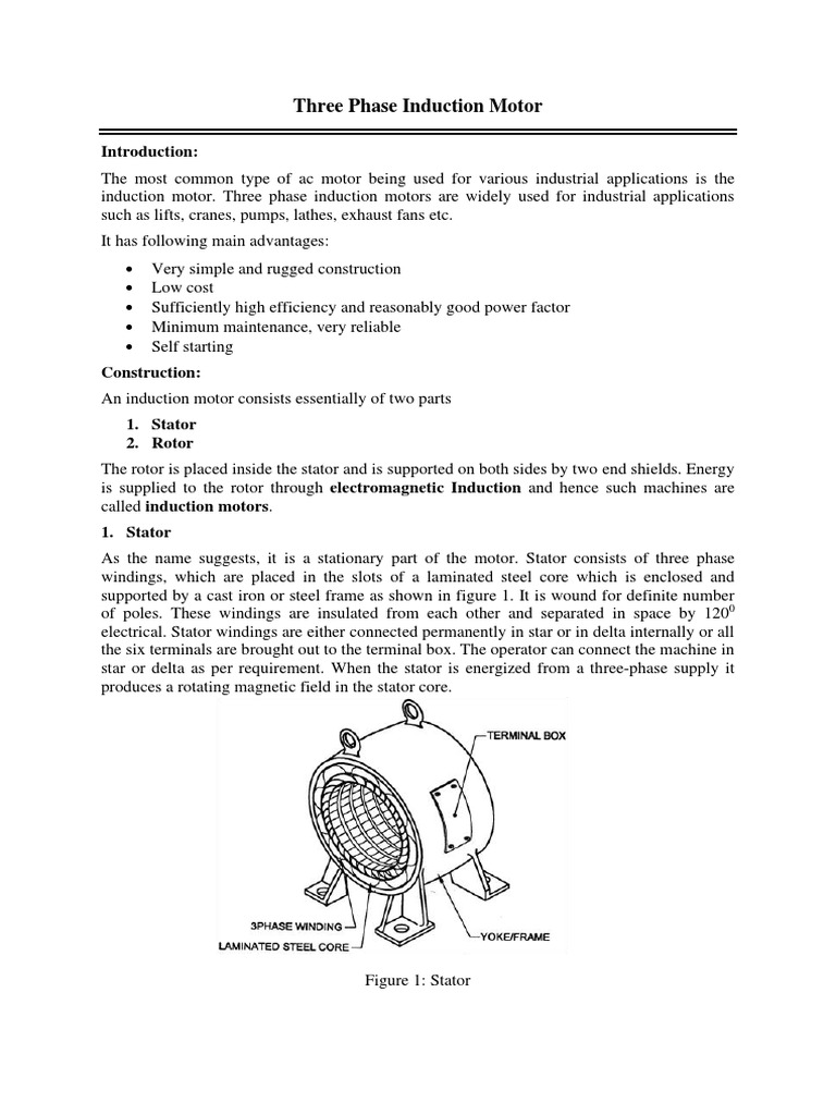 Three Phase Induction Motor - Instru | PDF | Electric Motor
