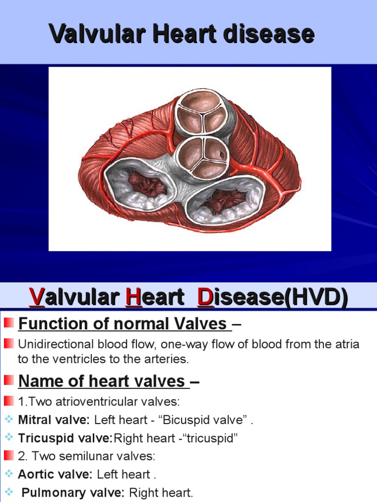 Valvular Heart Disease | PDF | Heart Valve | Heart