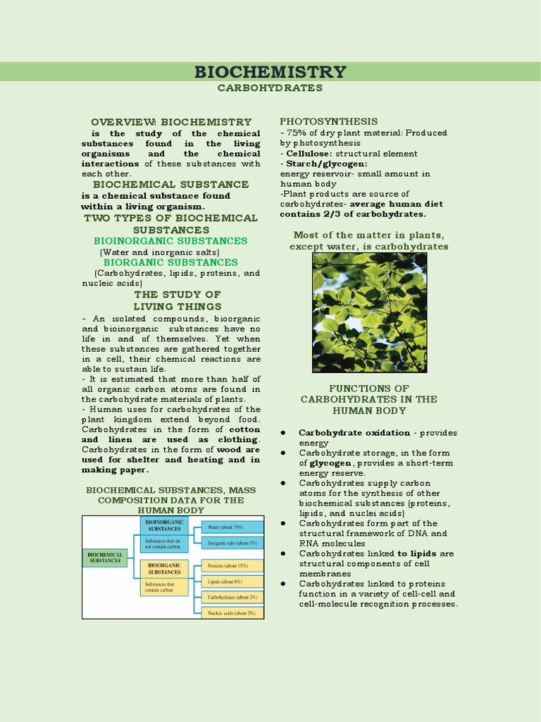 Biochemical Substances in Carbohydrates | PDF | Carbohydrates ...