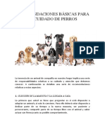 Recomendaciones Básicas para El Cuidado de Perros