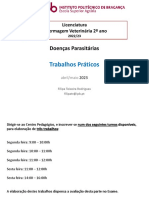 Trabalhos Praticos DIP 2023 PDF