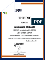 Certificado Manejo Defensivo - Caceres Vicente PDF