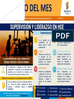 Marzo - Supervisión y Liderazgo en HSE