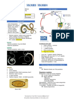 Trichuris Trichiura 300016 Downloable 815198 2 3 PDF