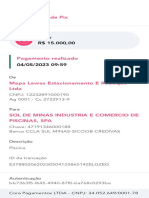 Comprovante Pagamento Pix E378802062023050412586514ZELGZEG PDF