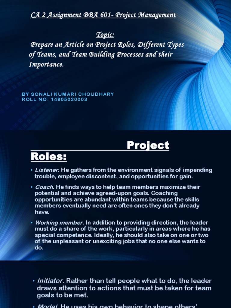 CA 2 Assignment BBA 601 - Project Management | PDF | Economies ...