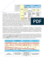 2 - Inmunidad Innata I PDF