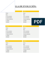 Planilla de Evolución PDF