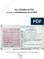 Cuentas y Ciclado PCR PDF