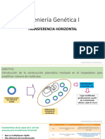 Ingeniería Genética I: Transferencia Horizontal